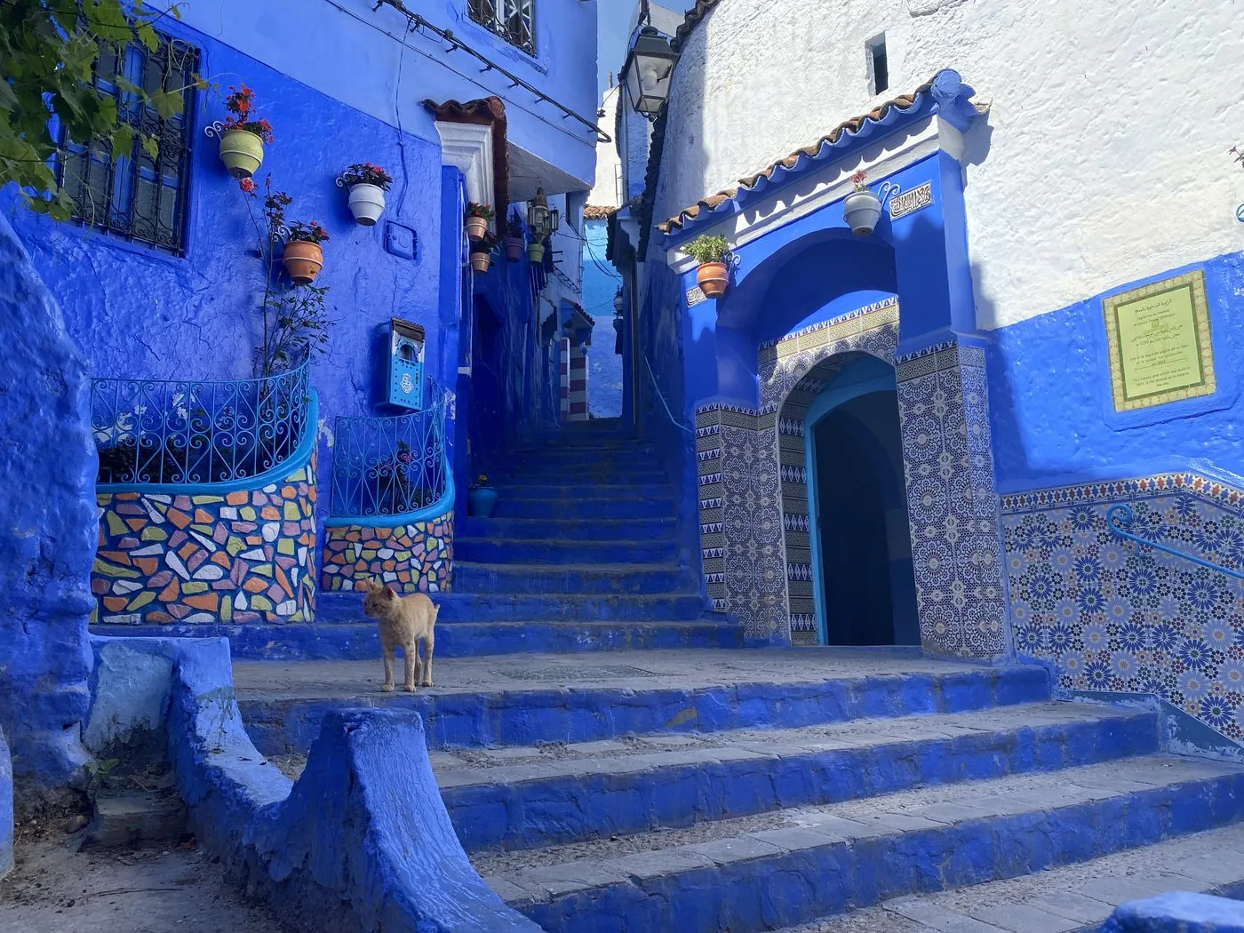 Casablanca to Chefchaouen excursion